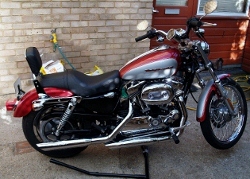 sportster 1200 (800x572) (315x225) (250x179).jpg