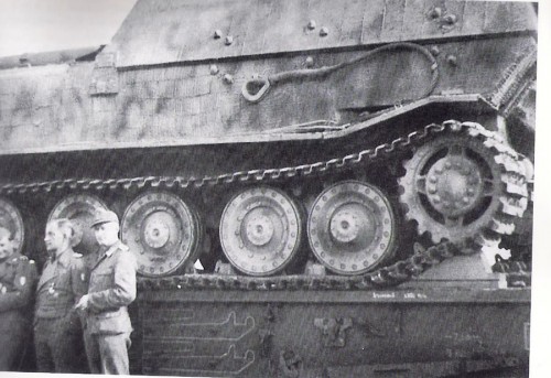 elefant0003.jpg