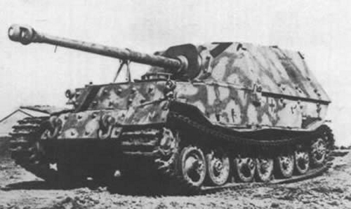 elefant_5.jpg
