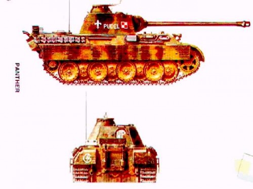 PANTHRYS.jpg
