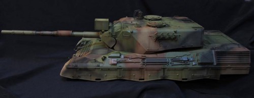 leopard1.jpg