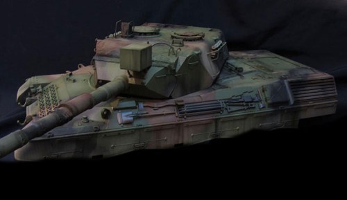 leopard5.jpg