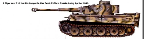 tiger823.jpg