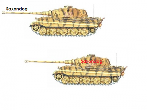 Saxondogs King Tigers.png