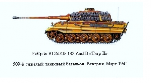 King Tiger 509.png