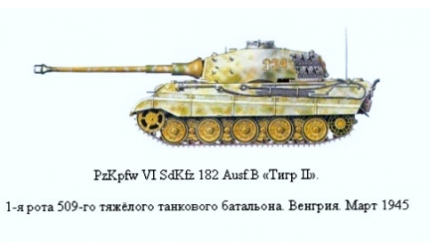 King Tiger 134.png