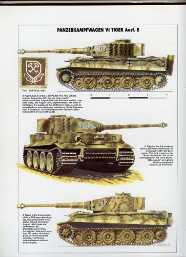 This set of 3 Includes WITTMANN's 'Last Ride' Tiger Number 007