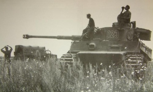 k1ktiger1234.jpg