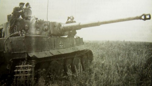 Tiger123_point.jpg