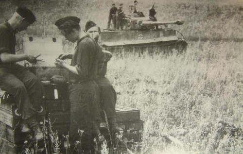 m2zinfrontoftiger123.jpg