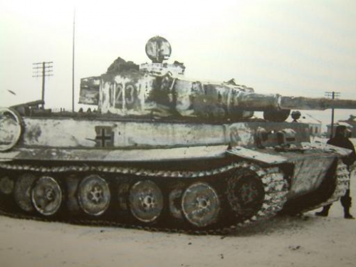 I am not sure with this photo...Possibly the same Tiger...At a later or earlier date...the number is 123 and again it has the panzer IV stowage bin