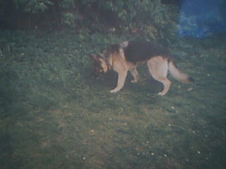 Image015.jpg