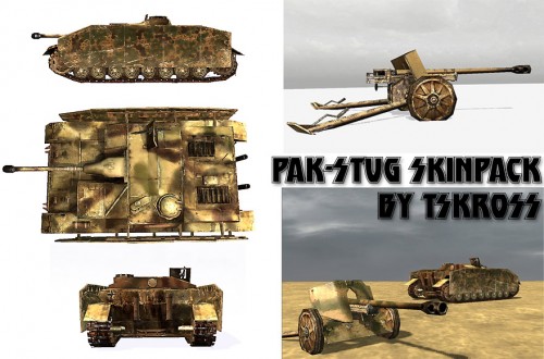 SKIN DESIGNED BY AN UNKNOW ARTIST FOR A 'FIRST PERSON SHOOT'EM UP GAME' USING THE NAME OF TSKROSS