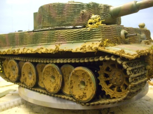 tiger 1 010.jpg