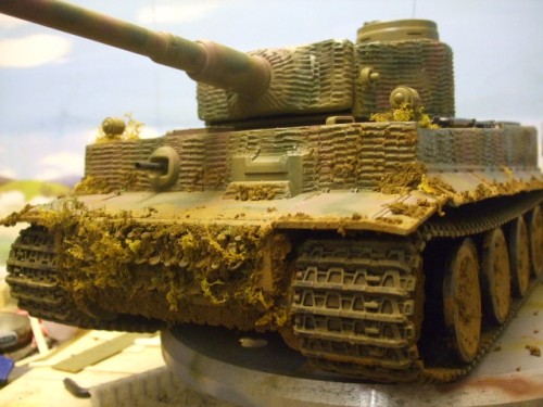 tiger 1 009.jpg