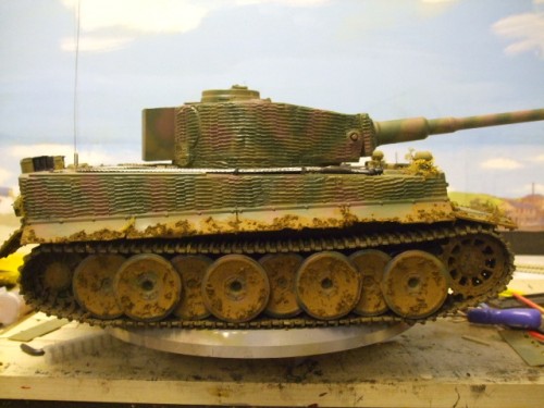 tiger 1 011.jpg