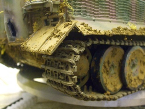tiger 1 013.jpg