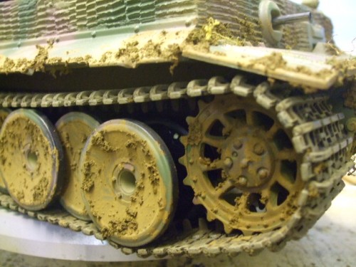 tiger 1 014.jpg