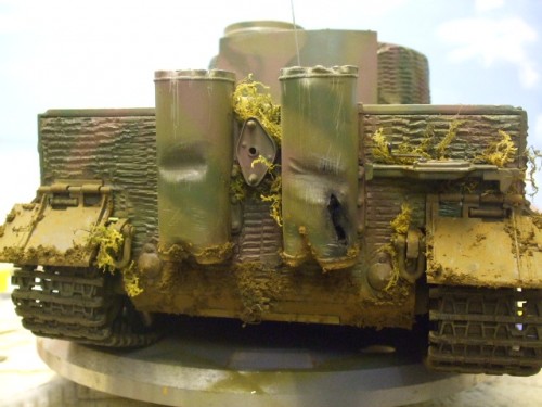 tiger 1 023.jpg