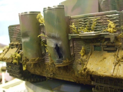 tiger 1 024.jpg