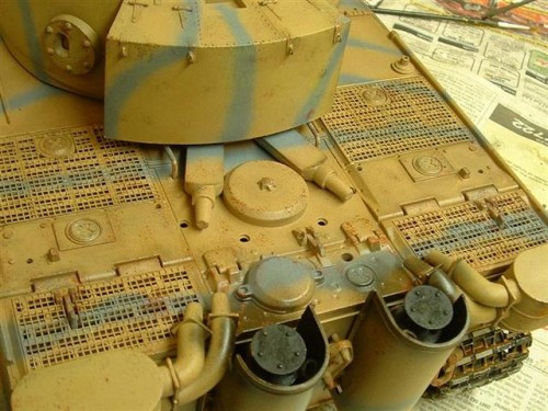 tiger 1 small (2).JPG
