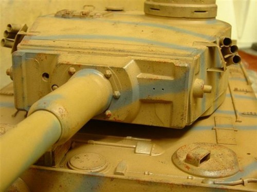 tiger 1 small (3).JPG