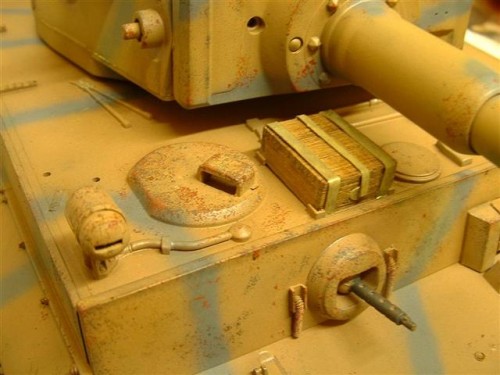 tiger 1 small (5).JPG