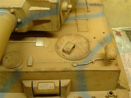 tiger 1 small (6).JPG