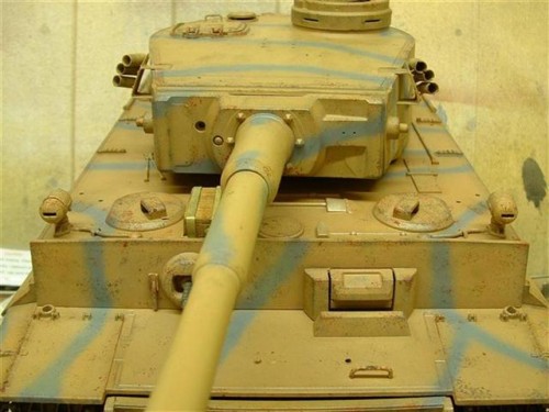 tiger 1 small (7).JPG