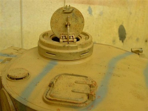 tiger 1 small (8).JPG
