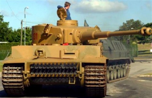 tiger 131 (Small).jpg