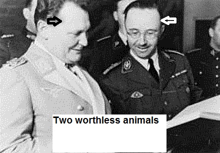 220px-Himmler,_Heinrich_and_Goering,_Hermann.jpg