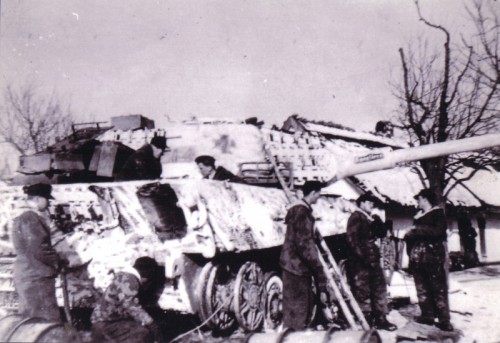imagen10.jpg