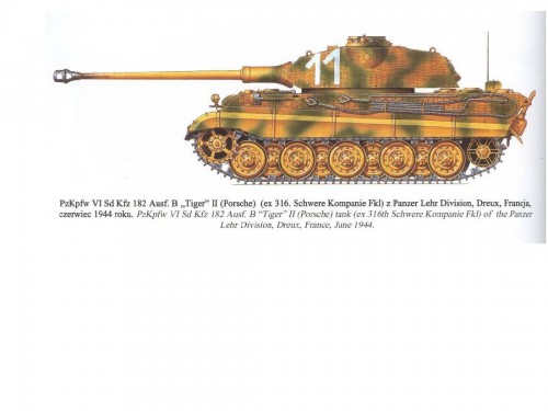 Porsche King Tiger FKL316 CALL SIGN 11.jpg