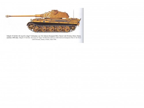 Porsche King Tiger FKL316 CALL SIGN 02.jpg