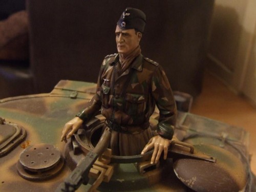 tiger com 002r3.jpg