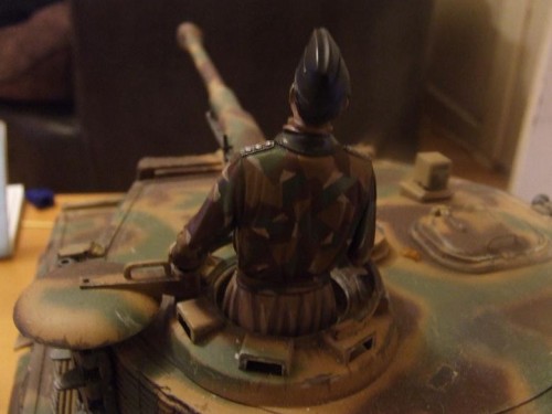 tiger com 005r3.jpg