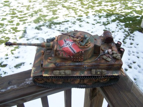 Taigen Tiger 1