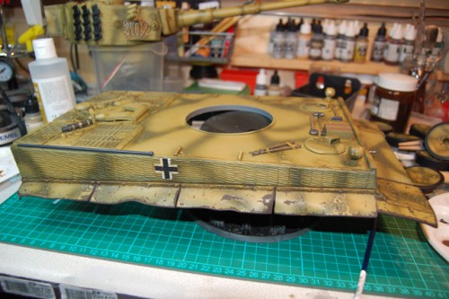 Tiger 12.jpg