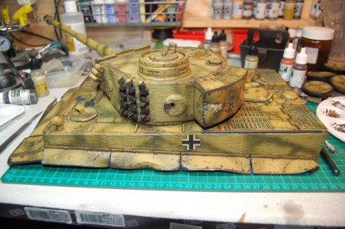 Tiger 19.jpg