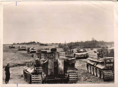 Tiger 112.jpg