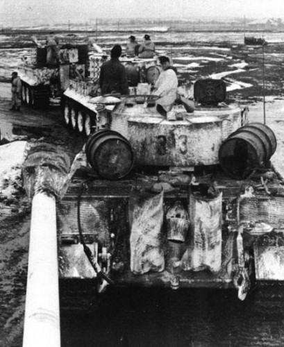 tiger_column2.jpg