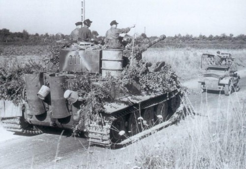 x0ttiger211.jpg