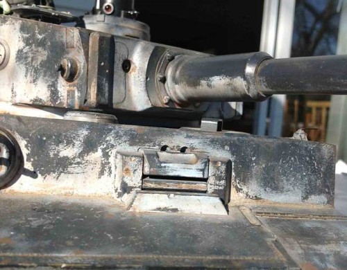 tiger1.jpg