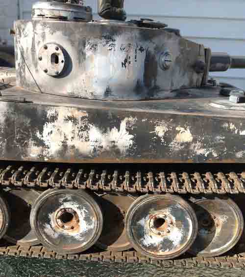 tiger3.jpg