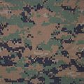 120px-MARPAT_woodland_pattern.jpg