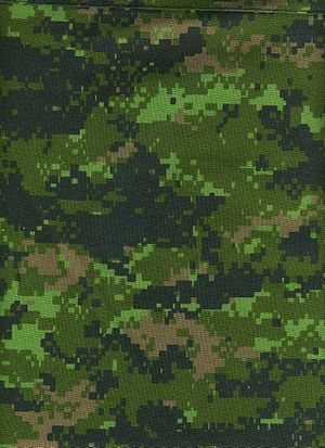 300px-CADPAT_digital_camouflage_pattern_(Temperate_Woodland_variant).jpg