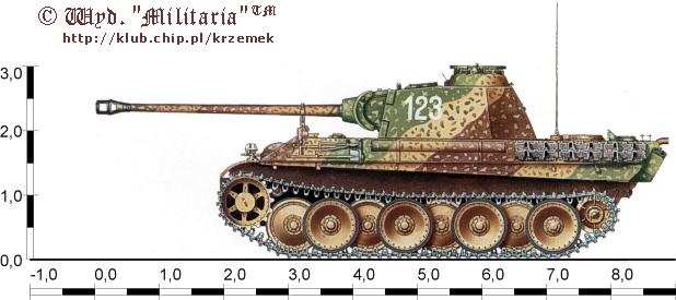 5th Pz Panther G Colour Plate 1.jpg