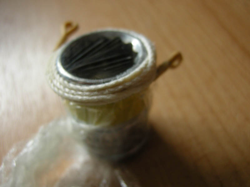 DSCN5488.jpg