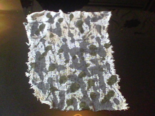 Camo net 1.JPG